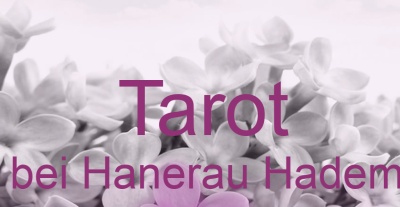 Tarot Seefeld bei Hanerau Hademarschen | Top-Experten für Kartenlegen, Wahrsagen, Hellsehen, Zukunftsdeutung. Tarot Seefeld bei Hanerau Hademarschen | Top-Experten für Kartenlegen, Wahrsagen, Hellsehen, Zukunftsdeutung.